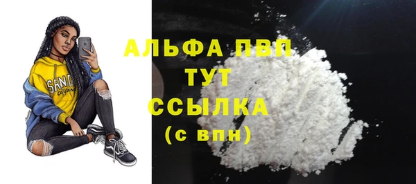 стафф Аркадак