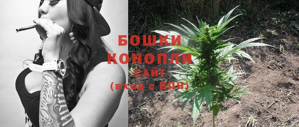 стафф Аркадак